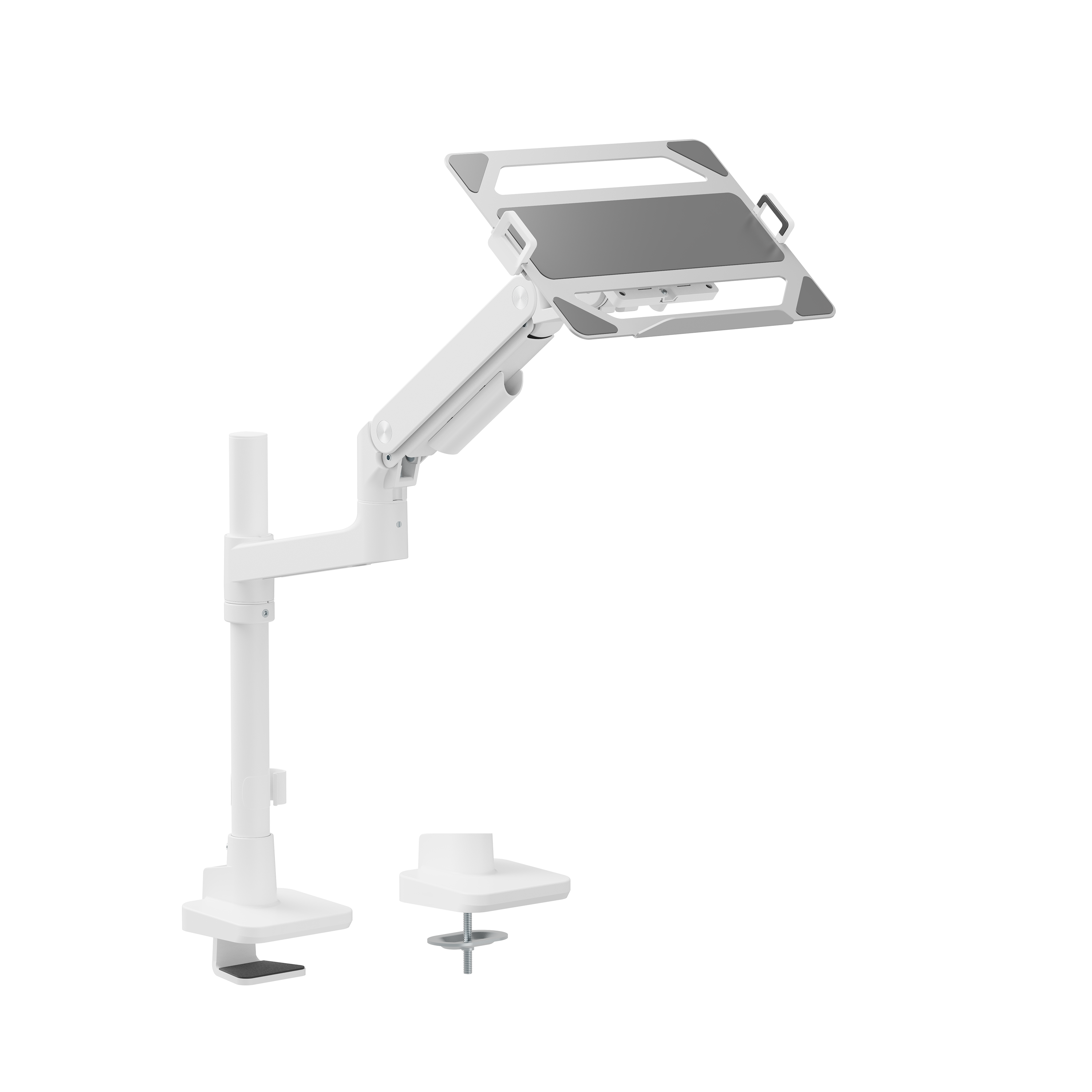 LDT81-C012P-ML